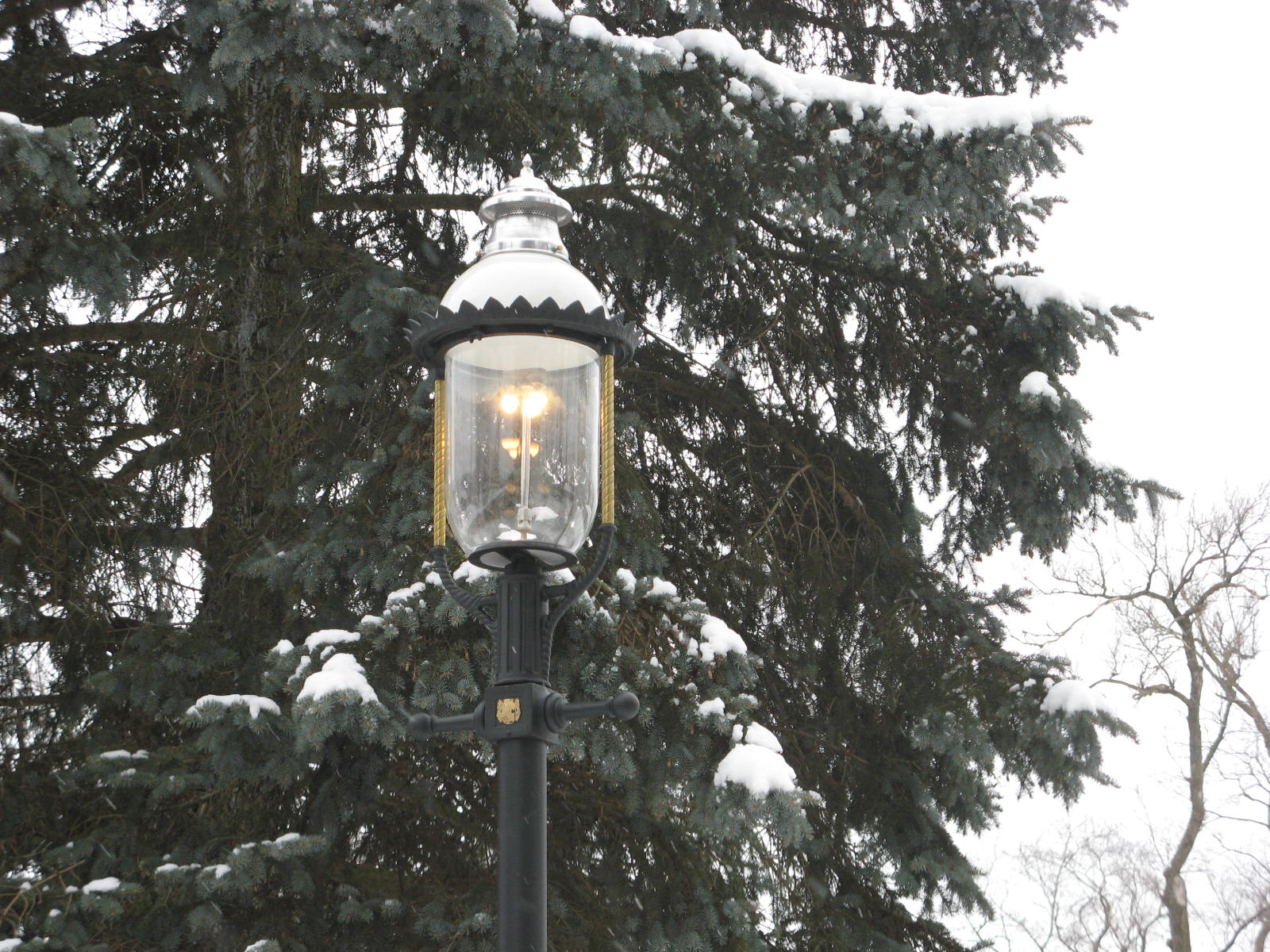 City of Glen Ellyn Public Works Boulevard Street Gas Lamp